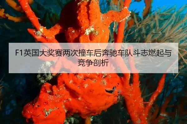 F1英国大奖赛两次撞车后奔驰车队斗志燃起与竞争剖析